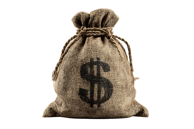 A burlap sack with a dollar sign. Wealth, finance, investment concept.