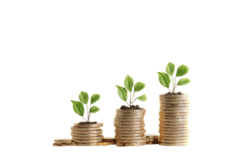 Growing money concept.  Stacks of coins with plants.