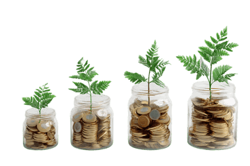 Growing money concept.  Coins and plants in jars.